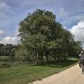 Donauradweg
