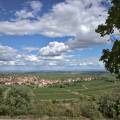 Rheinhessen